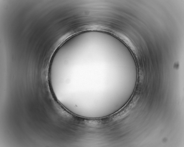 X0000102370946200808151832