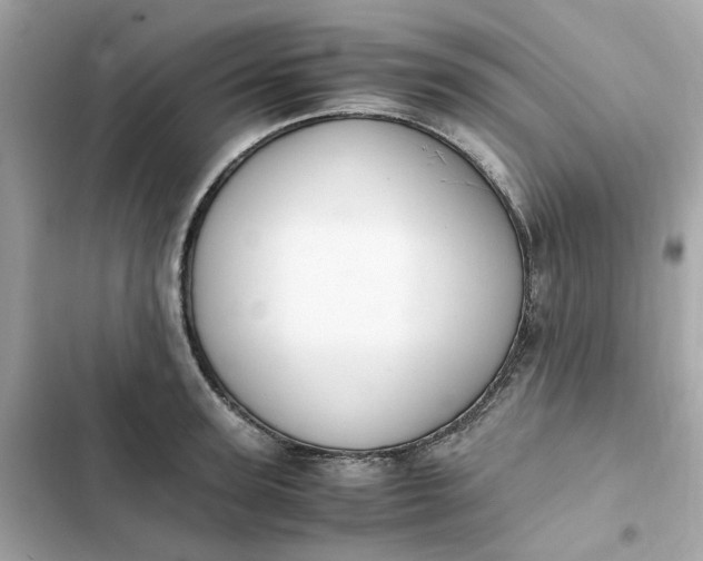 X0000102370947200808151832