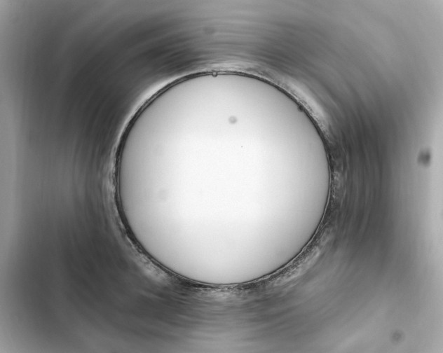 X0000102370948200808151832