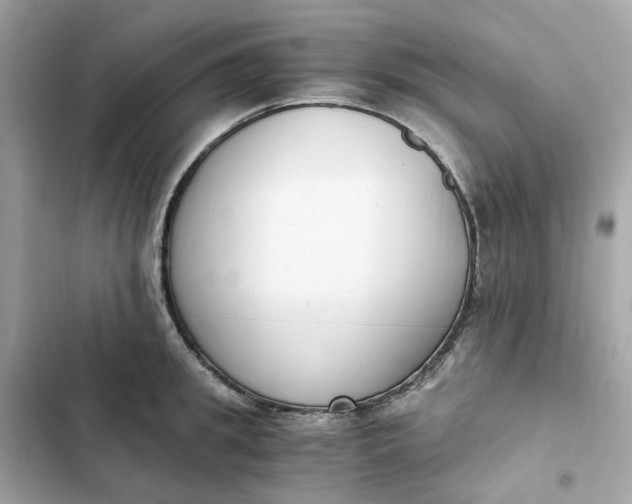 X0000102370949200808151832