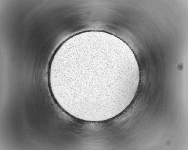 X0000102370950200808151832