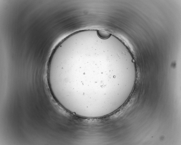 X0000102370952200808151832