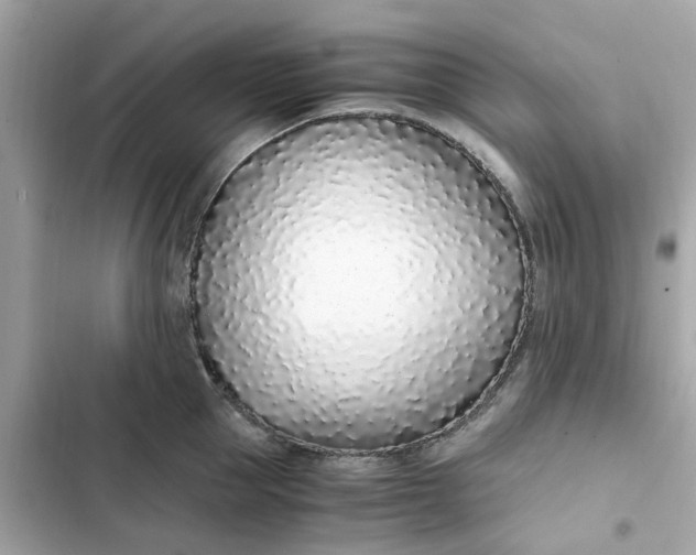 X0000102370953200808151832