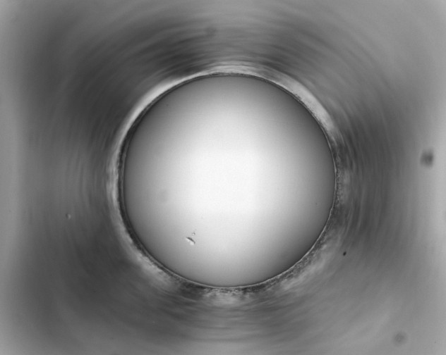 X0000102370955200808151832