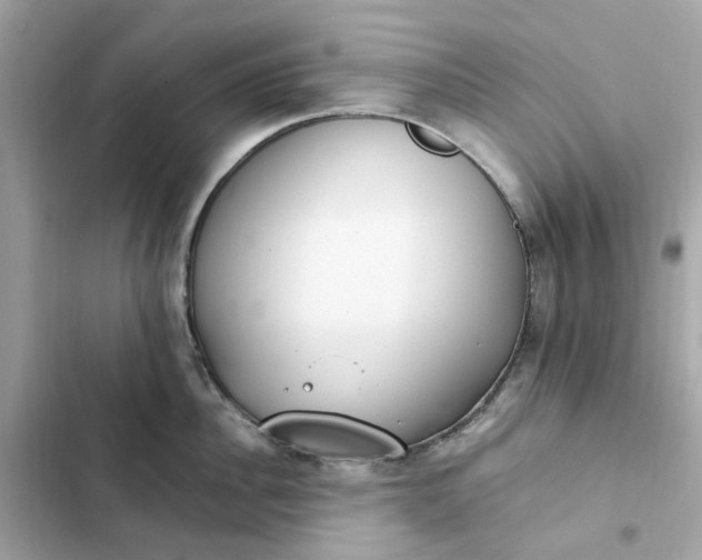 X0000102370956200808151832