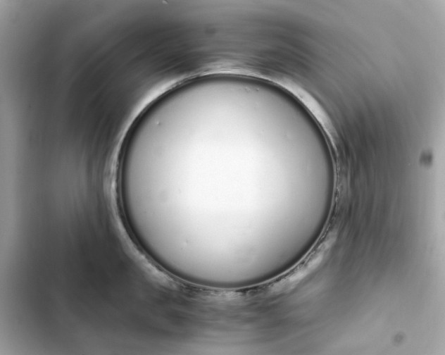 X0000102370957200808151832