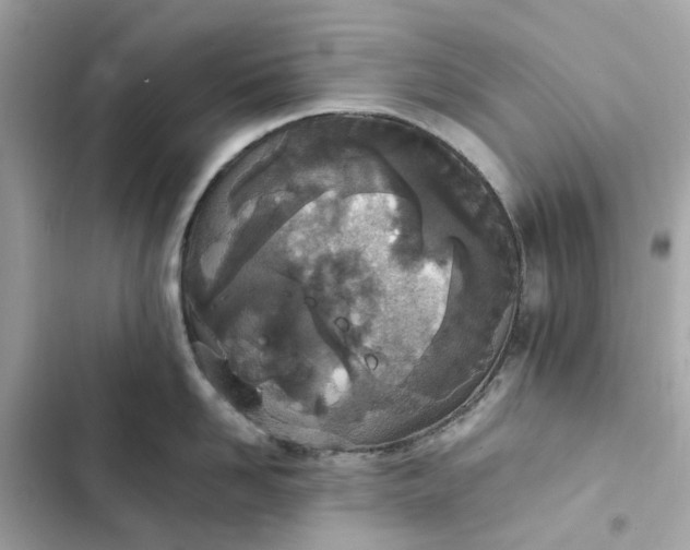 X0000102370958200808151832