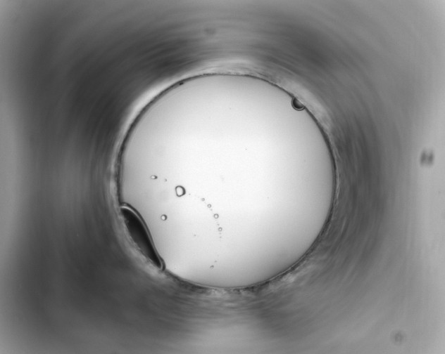 X0000102370960200808151832