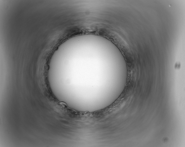 X0000102370961200808151831