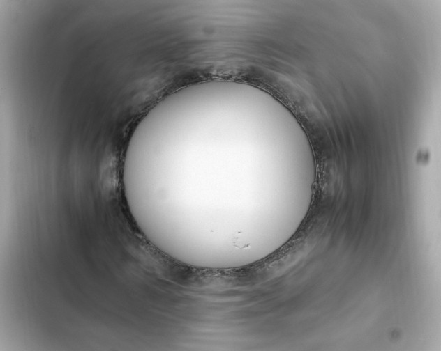 X0000102370962200808151831