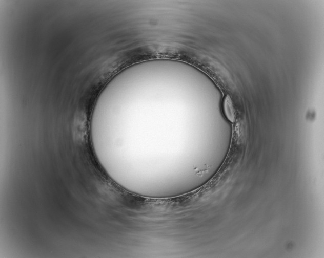 X0000102370963200808151831