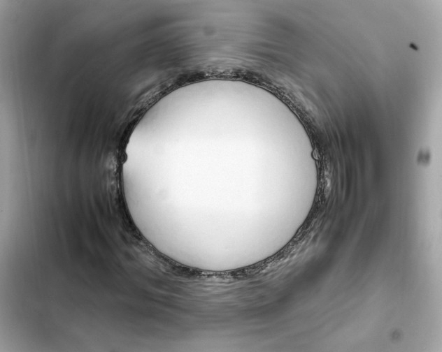 X0000102370964200808151831