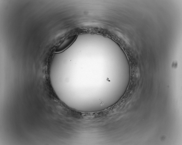 X0000102370965200808151831