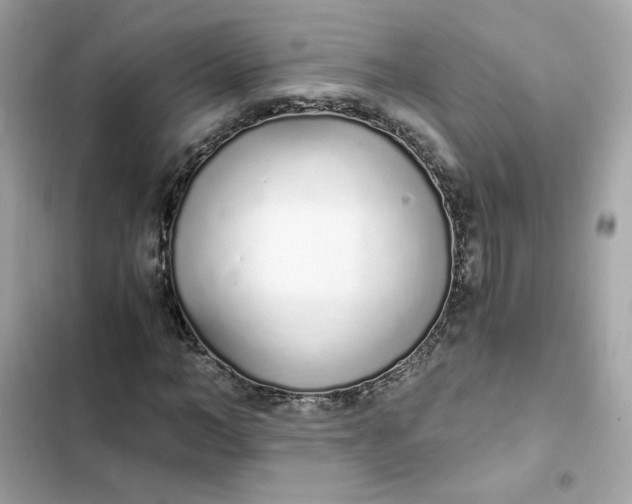 X0000102370966200808151831