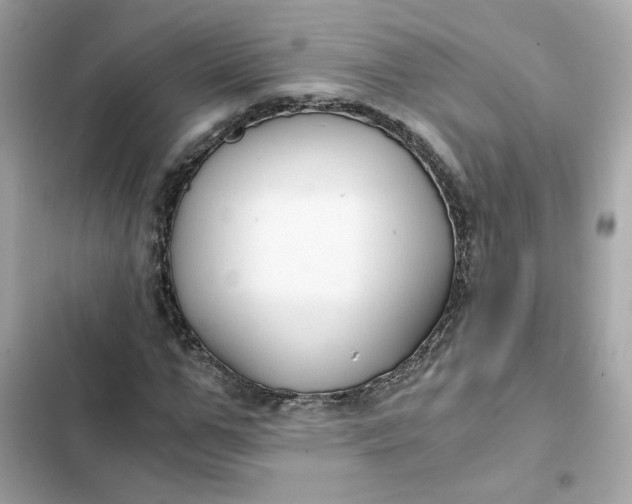 X0000102370967200808151831