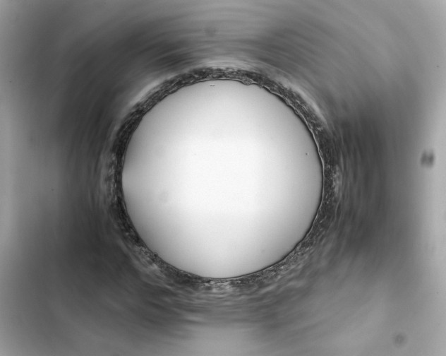 X0000102370968200808151831