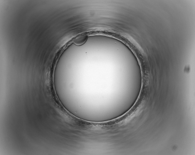 X0000102370969200808151831