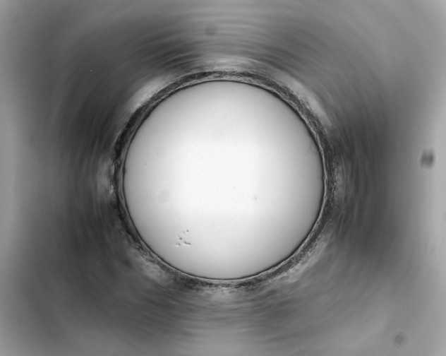 X0000102370970200808151831