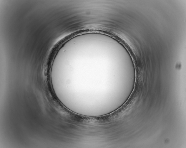 X0000102370971200808151831