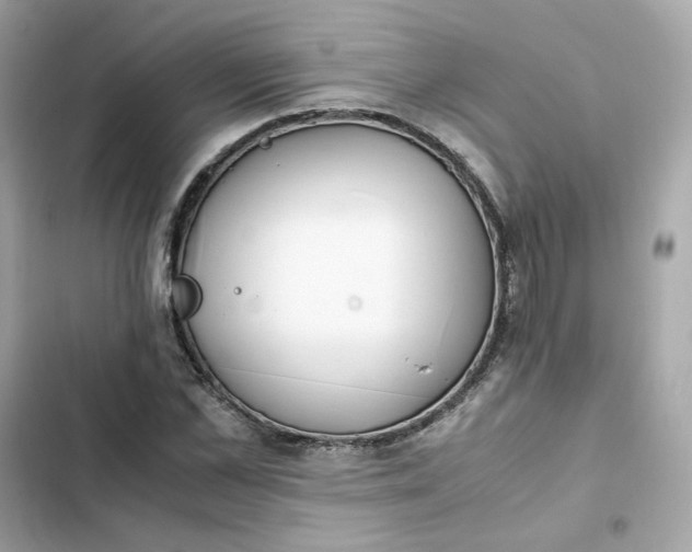 X0000102370973200808151831