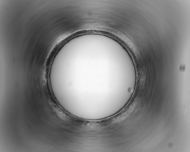 X0000102370974200808151831