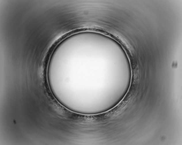 X0000102370975200808151831