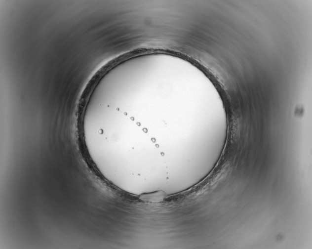 X0000102370976200808151831