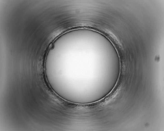 X0000102370977200808151831