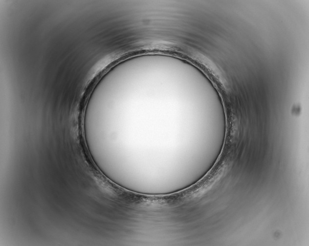 X0000102370978200808151831