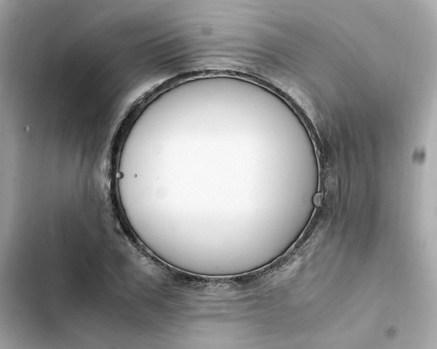 X0000102370979200808151831