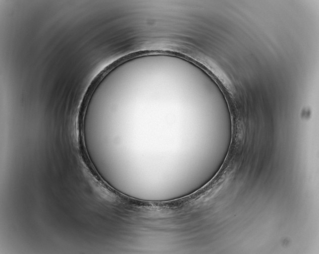 X0000102370980200808151831