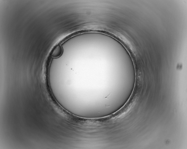 X0000102370981200808151831