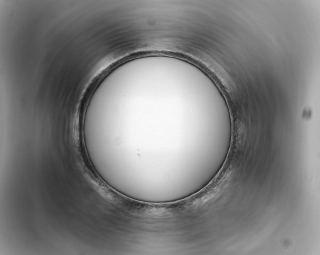 X0000102370982200808151831