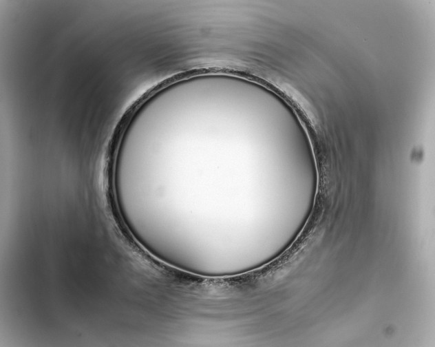 X0000102370983200808151831