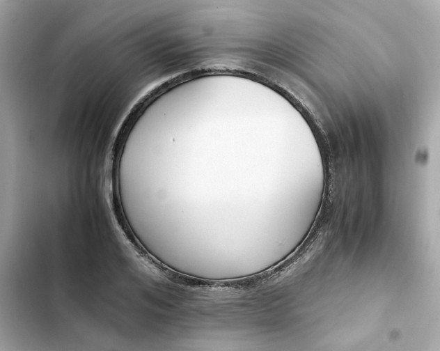 X0000102370984200808151831