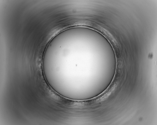 X0000102370985200808151831