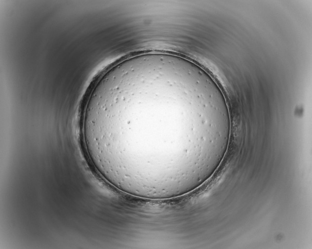 X0000102370987200808151831