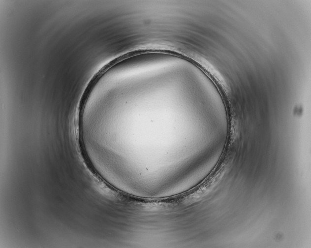 X0000102370988200808151831