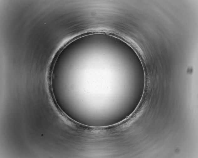 X0000102370989200808151831