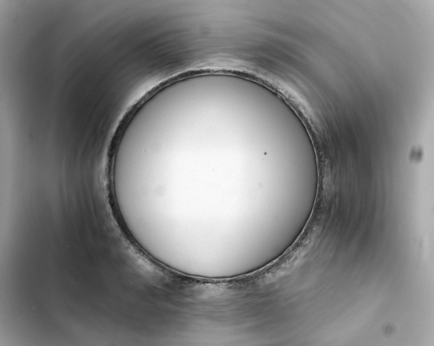 X0000102370990200808151831