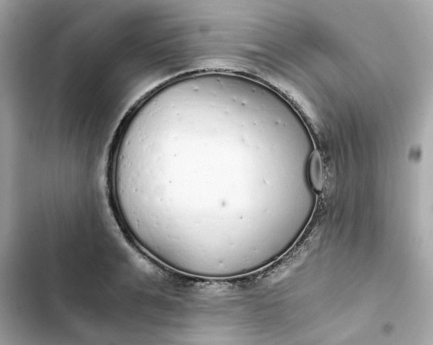 X0000102370991200808151831