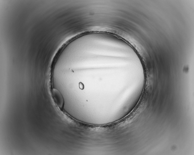 X0000102370992200808151831