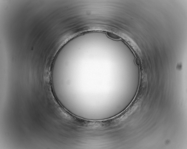 X0000102370993200808151831