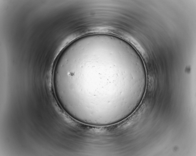 X0000102370994200808151831