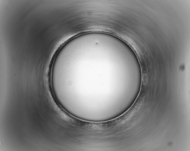 X0000102370995200808151831