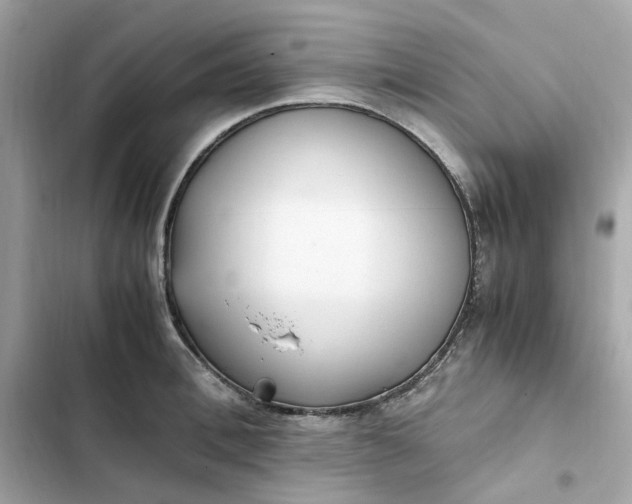 X0000102370996200808151831