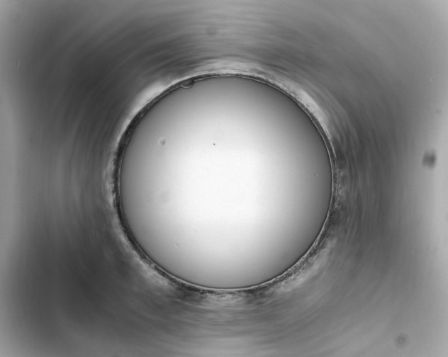 X0000102370997200808151831