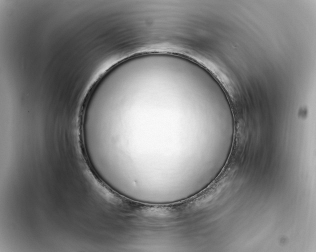 X0000102370998200808151831