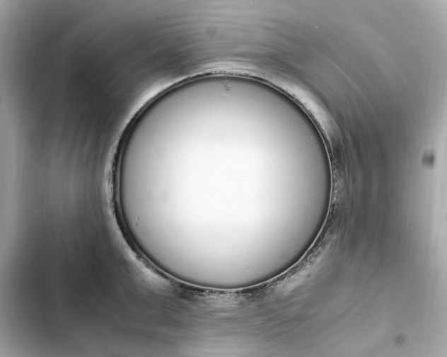 X0000102370999200808151831