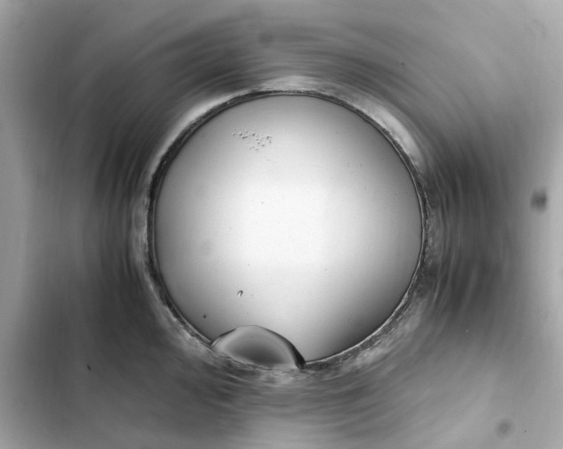 X0000102371000200808151831